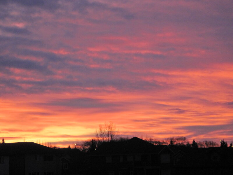 Silhouetted Houses at Sunset — Orange, Dramatic, Photograph, Trees