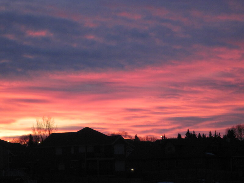 Silhouetted Houses at Sunset — Pink
