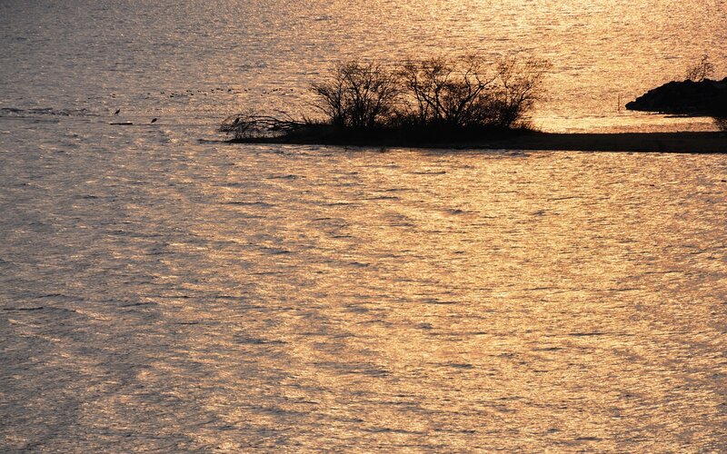 Silhouetted Island in Water — Gold