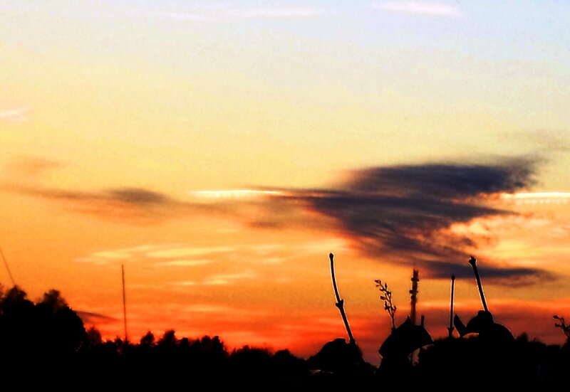 Silhouetted Landscape at Sunset