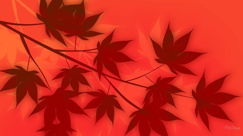 Silhouetted Maple Leaves — Red, Calm