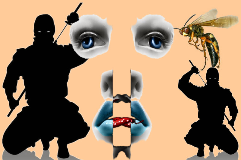 Silhouetted Ninja Figures