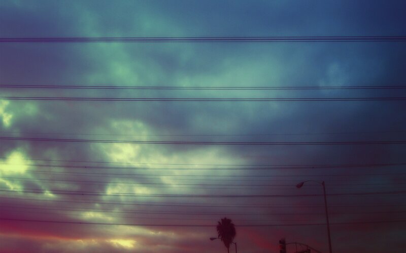 Silhouetted Palm Tree — Blue, Dramatic, Sunset, Photograph, Power Lines