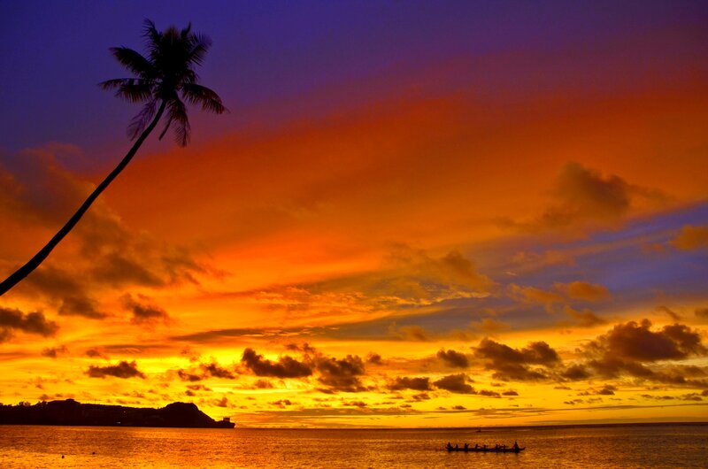 Silhouetted Palm Tree — Orange, Dramatic