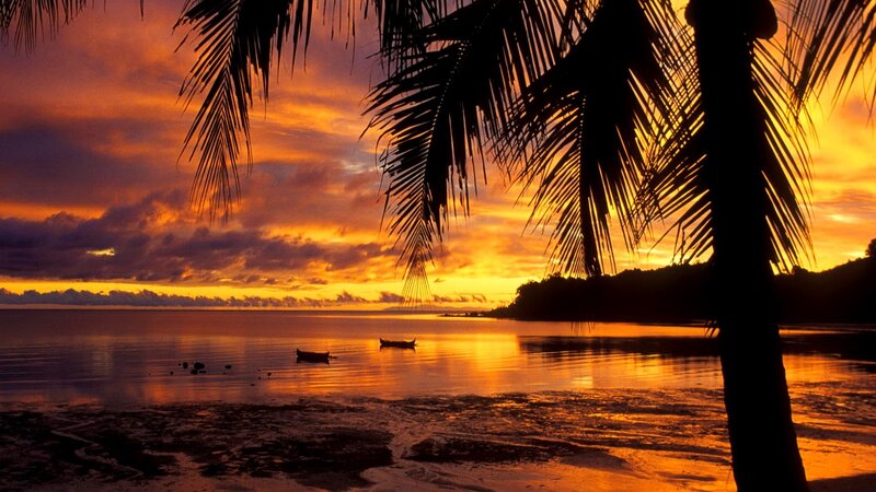 Silhouetted Palm Tree — Orange, Serene, Sunset