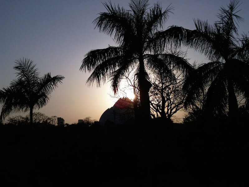 Silhouetted Palm Trees — Black, Serene, Sunset, Photograph