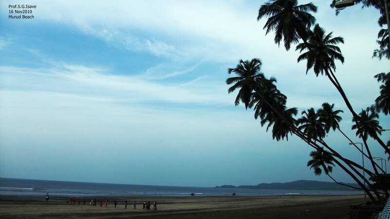 Silhouetted Palm Trees — Blue, Calm