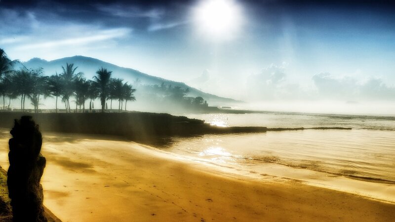 Silhouetted Palm Trees — Blue, Dramatic, Morning