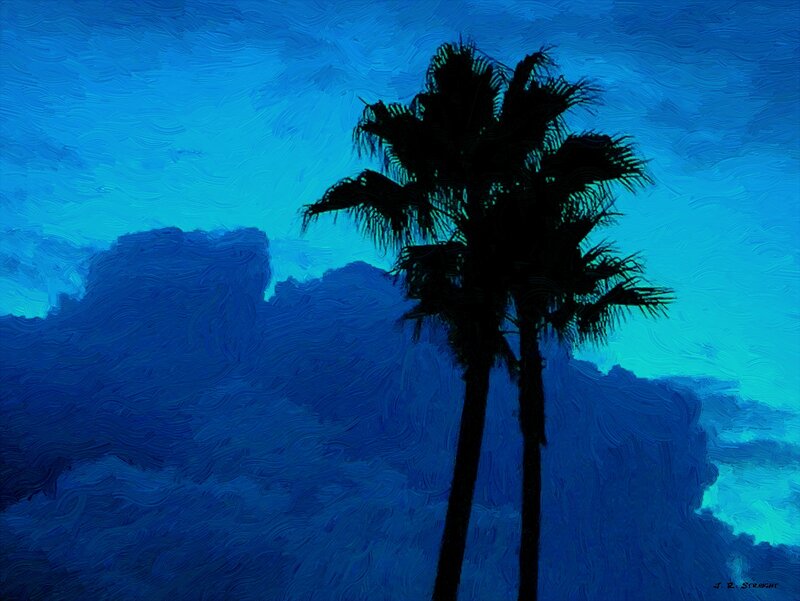 Silhouetted Palm Trees — Blue, Dramatic, Night