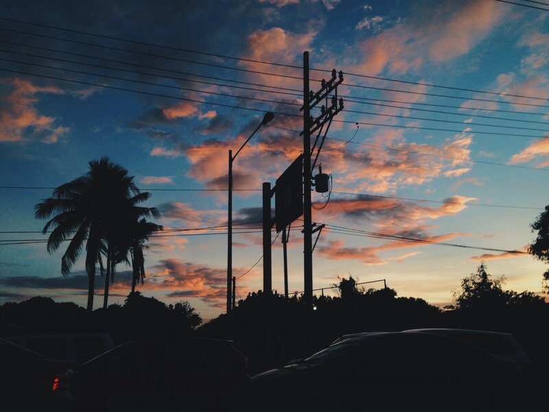 Silhouetted Palm Trees — Blue, Dramatic, Sunset, Photograph, Power Lines