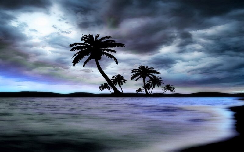 Silhouetted Palm Trees — Blue, Dramatic