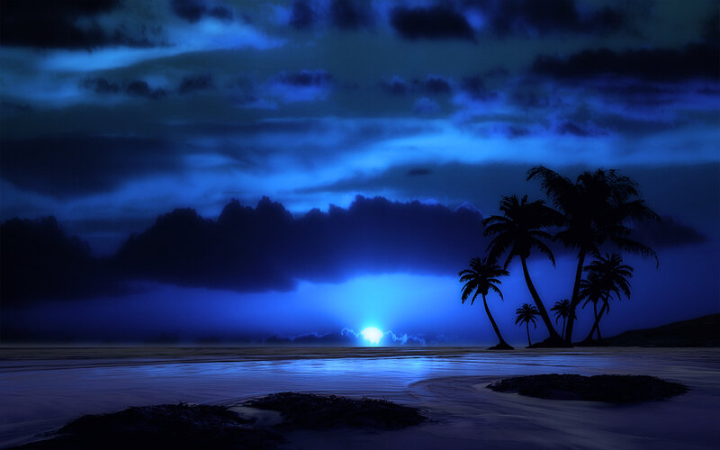 Silhouetted Palm Trees — Blue, Serene, Night, Digital Art