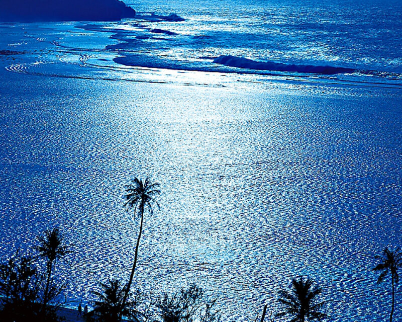 Silhouetted Palm Trees — Blue, Serene, Night, Photograph, Ocean