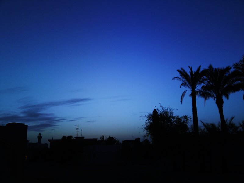 Silhouetted Palm Trees — Blue, Serene, Night, Photograph