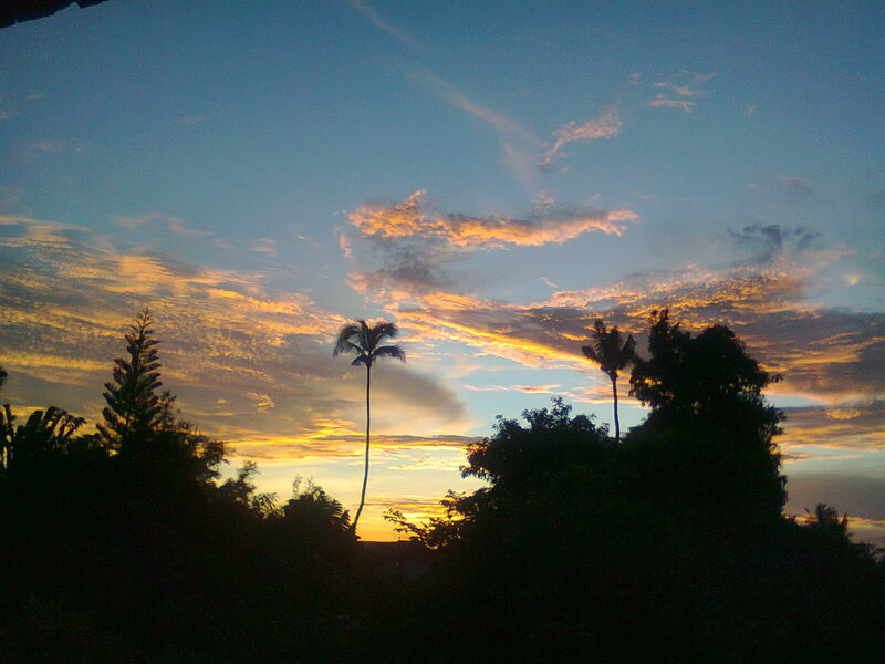 Silhouetted Palm Trees — Blue, Serene, Sunset, Photograph, Clouds