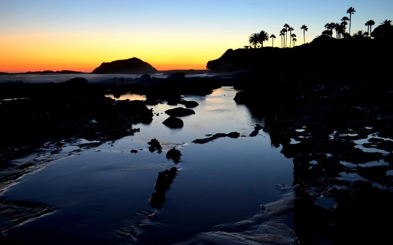Silhouetted Palm Trees — Blue, Serene, Sunset, Photograph, Ocean, Rocks