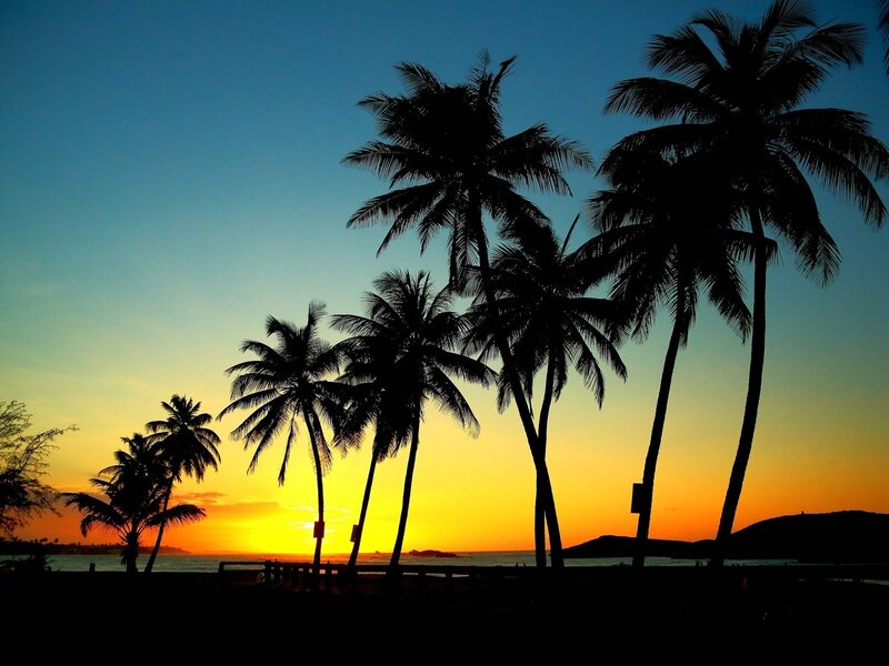 Silhouetted Palm Trees — Blue, Serene, Sunset, Photograph, Ocean, Sky, Hills