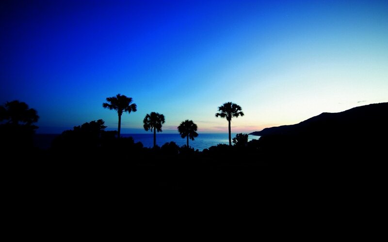 Silhouetted Palm Trees — Blue, Serene, Sunset, Photograph, Ocean