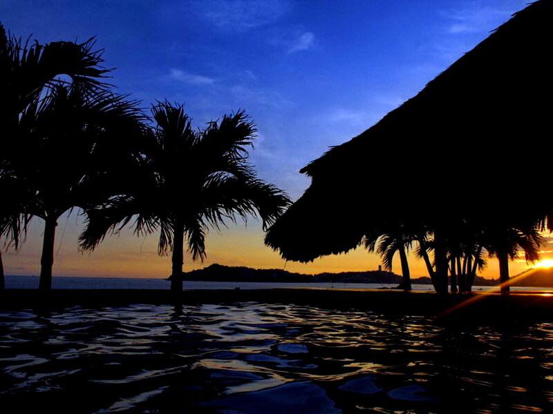 Silhouetted Palm Trees — Blue, Serene, Sunset, Photograph, Palm Trees