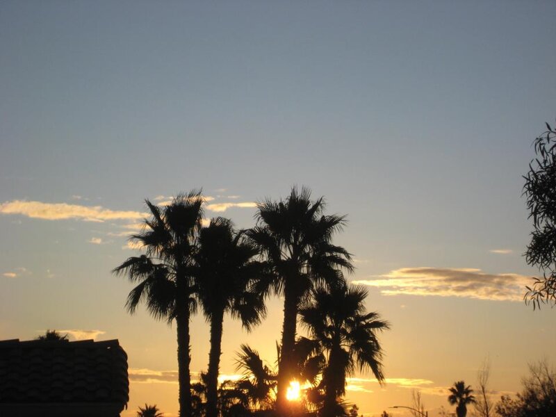 Silhouetted Palm Trees — Blue, Serene, Sunset, Photograph, Sun, Clouds