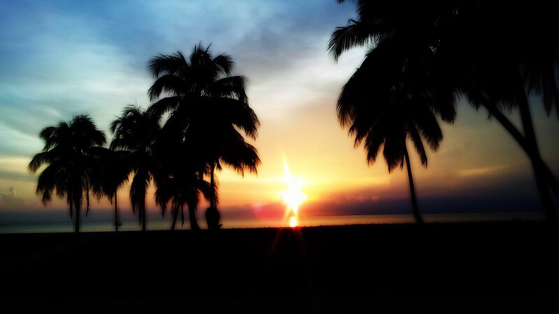 Silhouetted Palm Trees — Blue, Serene, Sunset, Photograph, Sun, Ocean, Sky, Orange