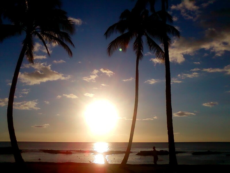 Silhouetted Palm Trees — Blue, Serene, Sunset, Photograph, Sun