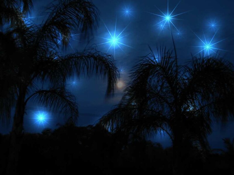 Silhouetted Palm Trees — Blue, Serene