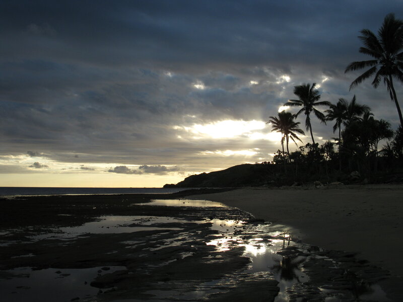 Silhouetted Palm Trees — Dark Blue