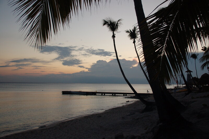 Silhouetted Palm Trees — Gray