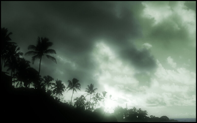 Silhouetted Palm Trees — Green, Dramatic