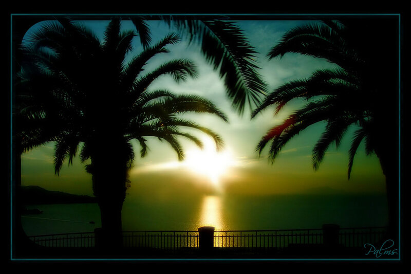 Silhouetted Palm Trees — Green