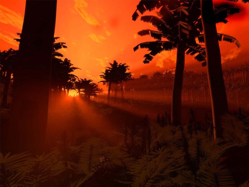 Silhouetted Palm Trees — Orange, Dramatic, Sunrise