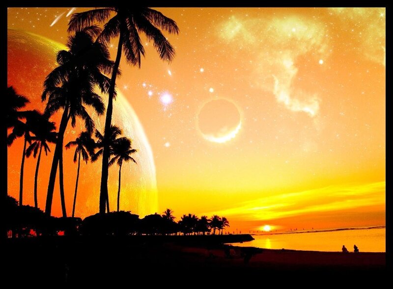 Silhouetted Palm Trees — Orange, Dramatic, Sunset, Digital Art, Palm Trees