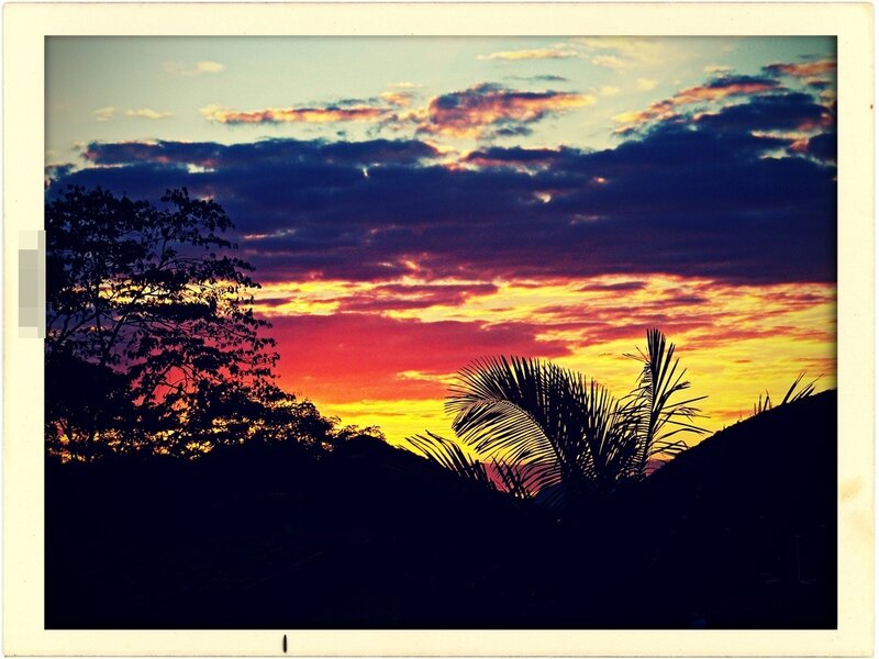 Silhouetted Palm Trees — Orange, Dramatic, Sunset, Photograph, Clouds, Sky
