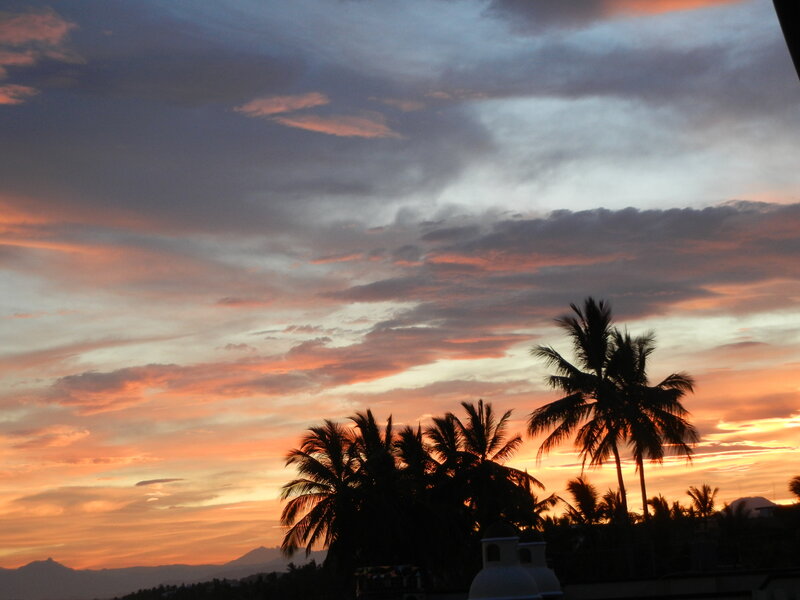 Silhouetted Palm Trees — Orange, Dramatic, Sunset, Photograph, Clouds