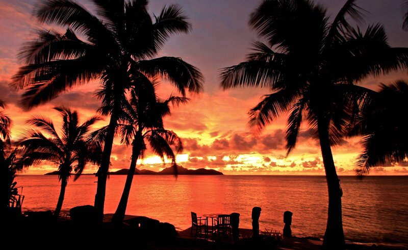 Silhouetted Palm Trees — Orange, Dramatic, Sunset, Photograph, Ocean, Island
