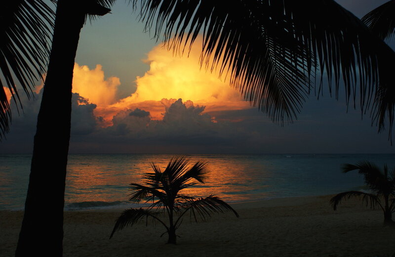 Silhouetted Palm Trees — Orange, Dramatic, Sunset, Photograph, Ocean