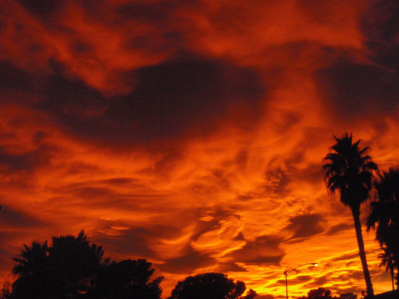 Silhouetted Palm Trees — Orange, Dramatic, Sunset, Photograph, Palm Trees, Clouds