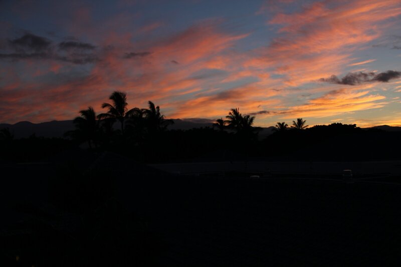 Silhouetted Palm Trees — Orange, Dramatic, Sunset, Photograph, Palm Trees