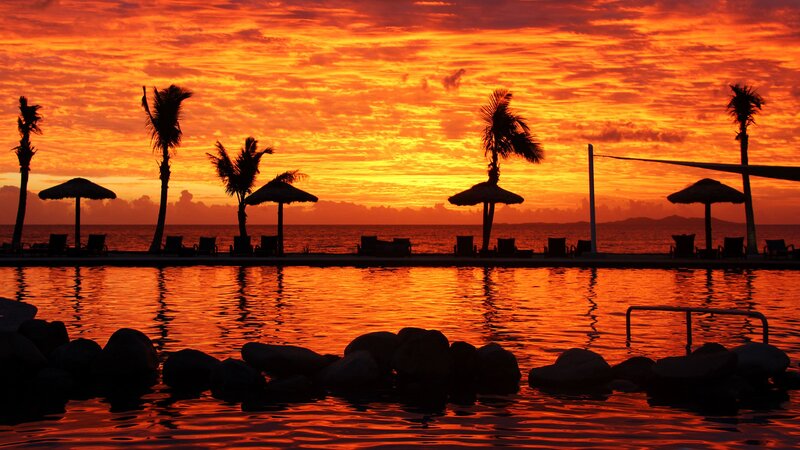 Silhouetted Palm Trees — Orange, Dramatic, Sunset, Photograph, Palm Trees, Umbrellas
