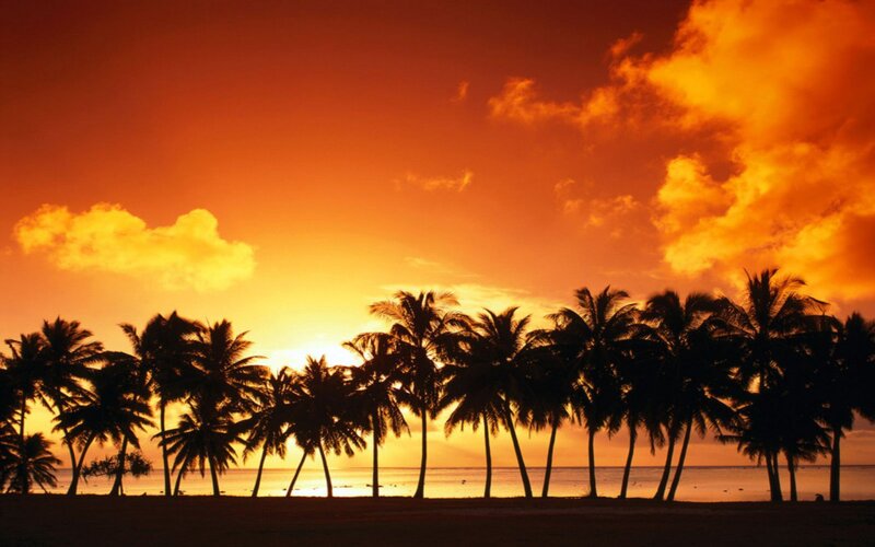Silhouetted Palm Trees — Orange, Dramatic, Sunset, Photograph, Sky, Clouds, Ocean
