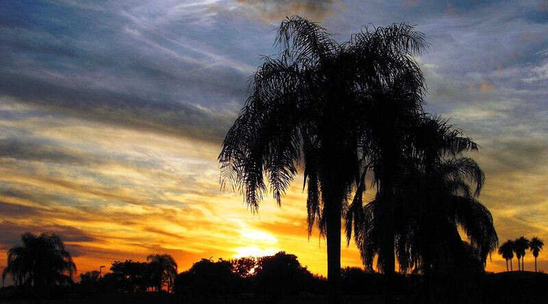 Silhouetted Palm Trees — Orange, Dramatic, Sunset, Photograph, Sky, Clouds, Sun, Yellow