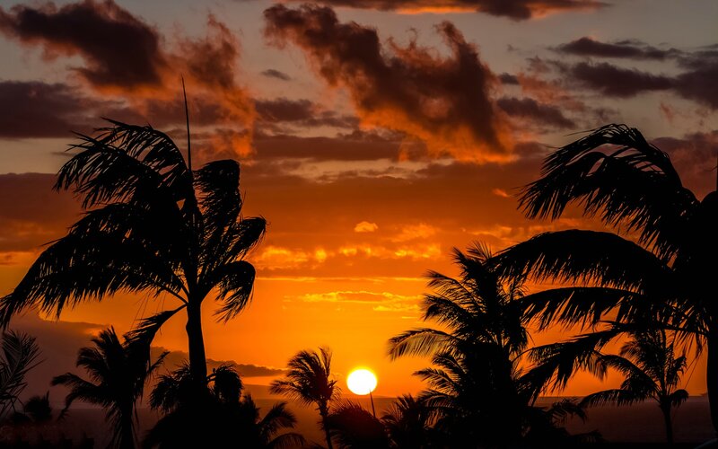 Silhouetted Palm Trees — Orange, Dramatic, Sunset, Photograph, Sun, Clouds, Ocean