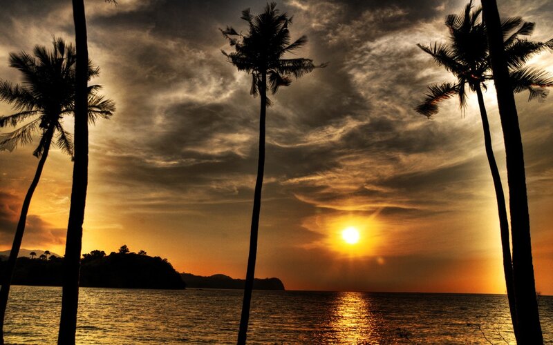 Silhouetted Palm Trees — Orange, Dramatic, Sunset, Photograph, Sun, Ocean