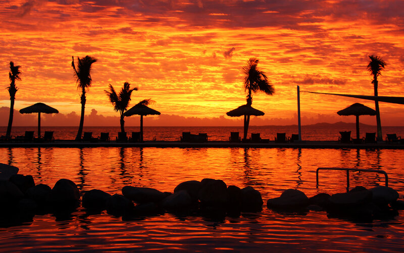 Silhouetted Palm Trees — Orange, Dramatic, Sunset, Photograph, Umbrellas