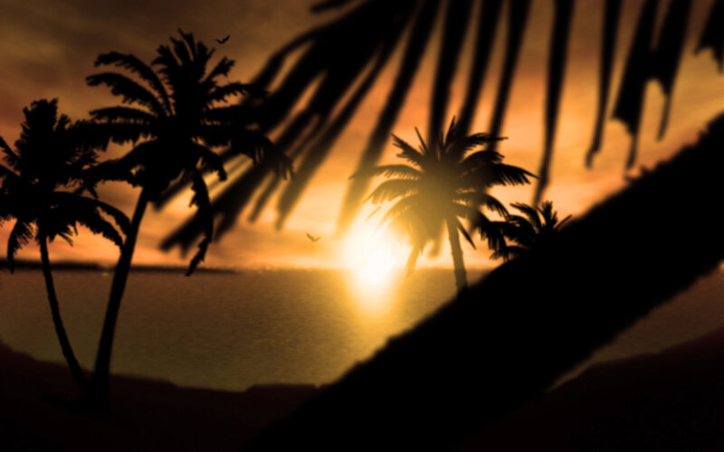 Silhouetted Palm Trees — Orange, Serene, Sunset, Digital Art, Ocean