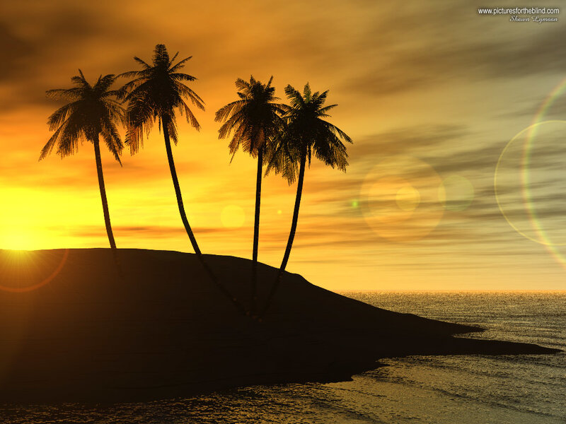Silhouetted Palm Trees — Orange, Serene, Sunset, Digital Art