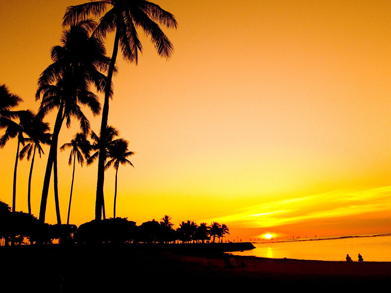 Silhouetted Palm Trees — Orange, Serene, Sunset, Photograph, Ocean, Beach, People