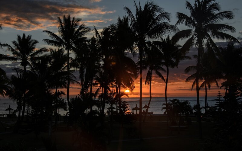 Silhouetted Palm Trees — Orange, Serene, Sunset, Photograph, Ocean, Beach Umbrellas
