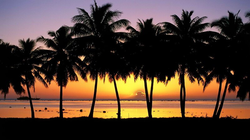 Silhouetted Palm Trees — Orange, Serene, Sunset, Photograph, Ocean, Boat, Yellow, Purple